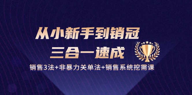 从小新手到销冠三合一速成：销售3法+非暴力关单法+销售系统挖需课 (27节)-副业网