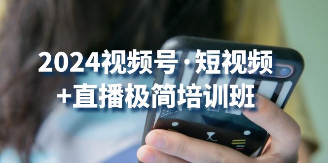 2024视频号短视频+直播极简培训班：抓住视频号风口，流量红利-副业网