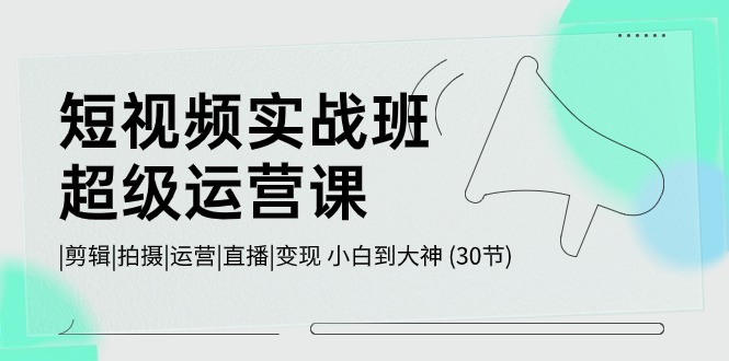 短视频实战班超级运营课 |剪辑|拍摄|运营|直播|变现 小白到大神 (30节)-副业网