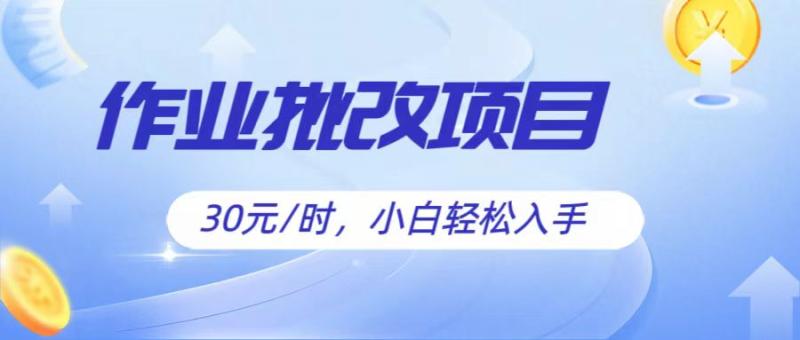 作业批改项目30元/时，简单小白轻松入手，非常适合兼职-副业网