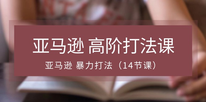 亚马逊高阶打法课，亚马逊暴力打法（14节视频课）-副业网