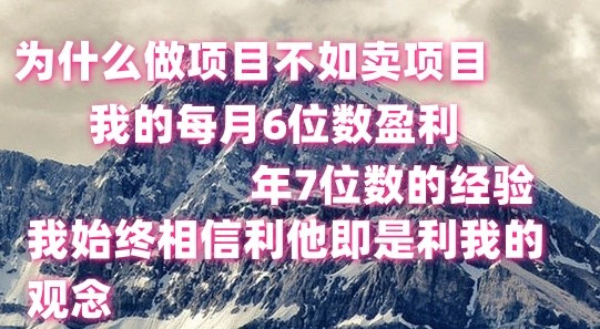 做项目不如卖项目，每月6位数盈利，年7位数经验-副业网