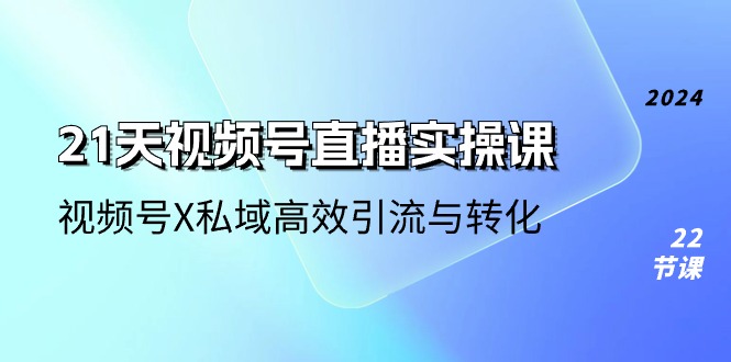 21天视频号直播实操课，视频号X私域高效引流与转化（22节课）-副业网