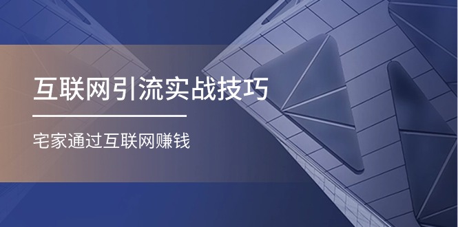 互联网引流实操技巧(适合微商，吸引宝妈)，宅家通过互联网赚钱（17节）-副业网