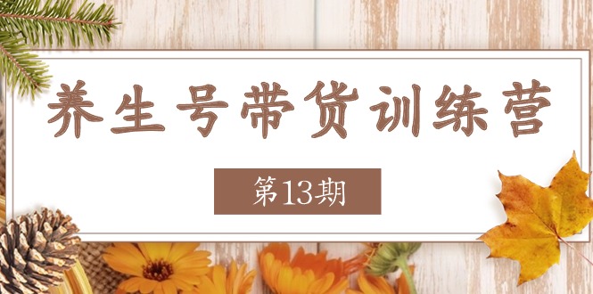 养生号带货训练营【第13期】收益更稳定的玩法，让你带货收益爆炸-副业网