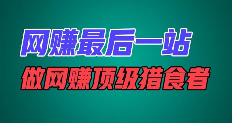 网赚最后一站，卖项目，做网赚顶级猎食者-副业网