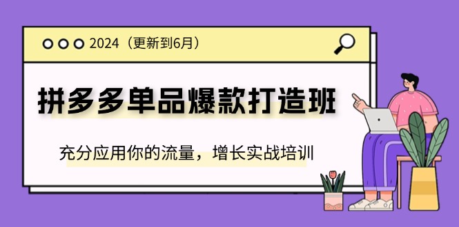 2024拼多多单品爆款打造班，充分应用你的流量，增长实战培训(更新6月)-副业网