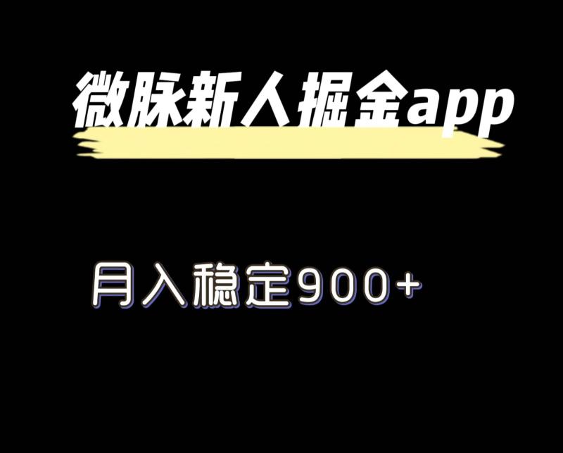 最新微脉长久项目，拉新掘金，月入稳定900+-副业网