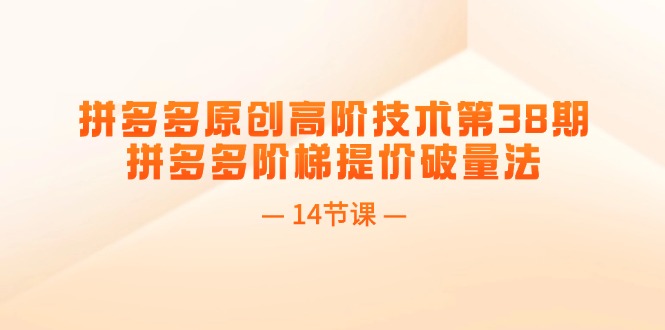拼多多原创高阶技术第38期，拼多多阶梯提价破量法（14节课）-副业网