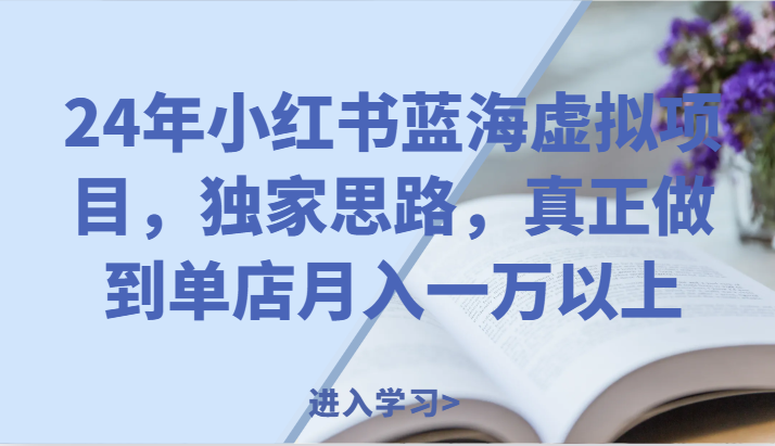 24年小红书蓝海虚拟项目，独家思路，真正做到单店月入一万以上。-副业网