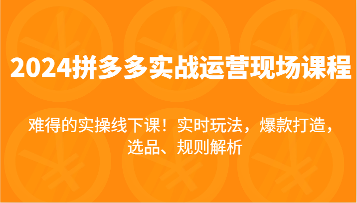 2024拼多多实战运营现场课，实时玩法，爆款打造，选品、规则解析，难得的实操线下课！-副业网