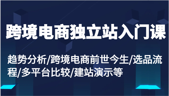 跨境电商独立站入门课：趋势分析/跨境电商前世今生/选品流程/多平台比较/建站演示等-副业网