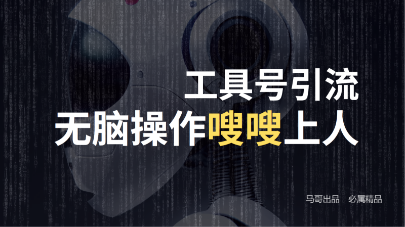 工具号高效引流法，嗖嗖上人，日引1000+，直接搬运，无脑操作-副业网