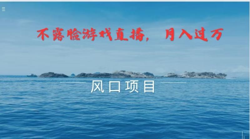 不露脸不出镜，玩转找茬游戏，普通人实现月入过万的好项目-副业网