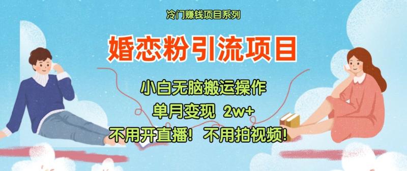 小红书婚恋粉引流，不用开直播！不用拍视频！不用做交付-副业网