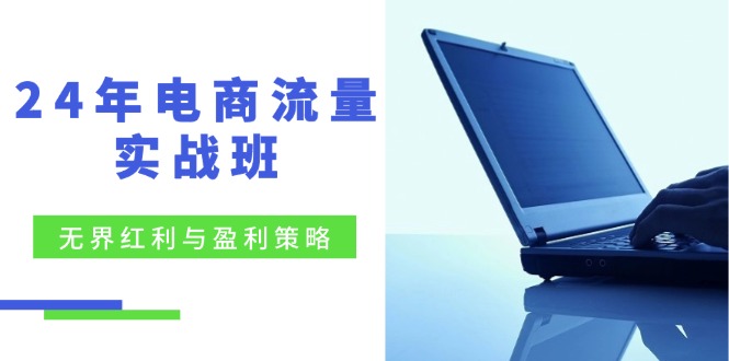 电商流量实战班：无界红利与盈利策略，终极提升/关键词优化/精准人群拓展/创新玩法-副业网
