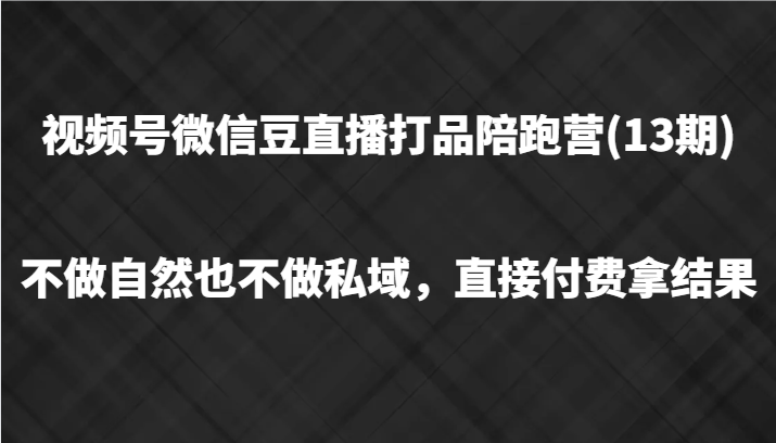视频号微信豆直播打品陪跑(13期)，不做不自然流不做私域，直接付费拿结果-副业网