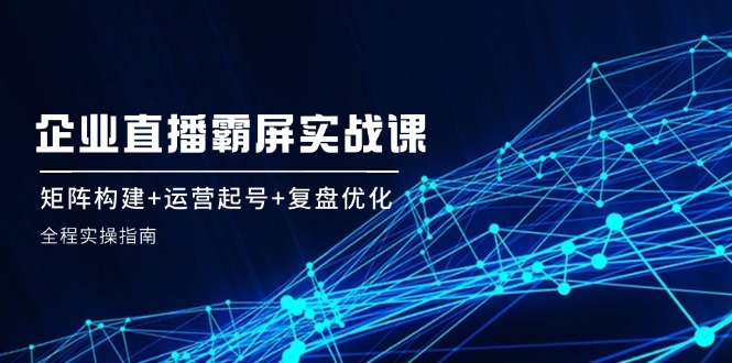企业直播霸屏实战课：矩阵构建+运营起号+复盘优化，全程实操指南-副业网