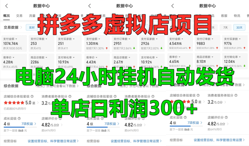 拼多多虚拟店铺项目，电脑挂机自动发货，单店日利润300+-副业网