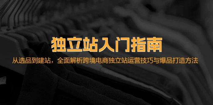 独立站入门指南：从选品到建站，全面解析跨境电商独立站运营技巧与爆品打造方法-副业网