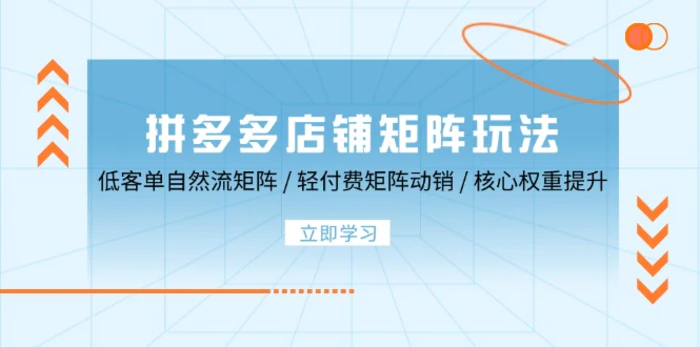 拼多多店铺矩阵玩法：低客单自然流矩阵 / 轻付费矩阵 动销 / 核心权重提升-副业网
