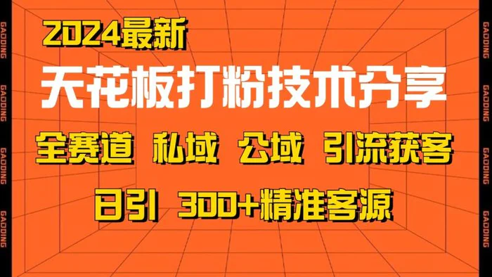 天花板打粉技术分享，野路子玩法 曝光玩法免费矩阵自热技术日引2000+精准客户-副业网