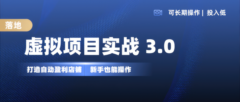 虚拟项目实操落地 3.0,新手轻松上手，单品月入1W+-副业网
