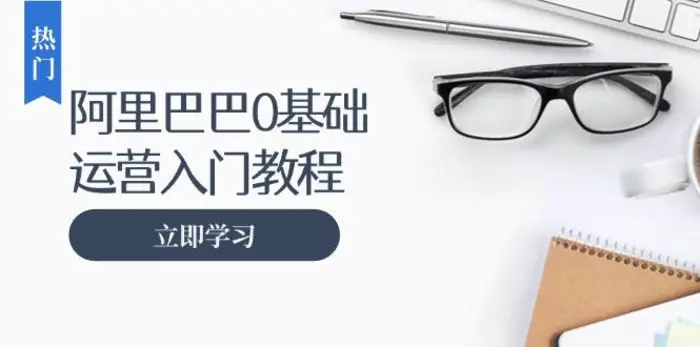 阿里巴巴运营零基础入门教程：涵盖开店、运营、推广，快速成为电商高手-副业网