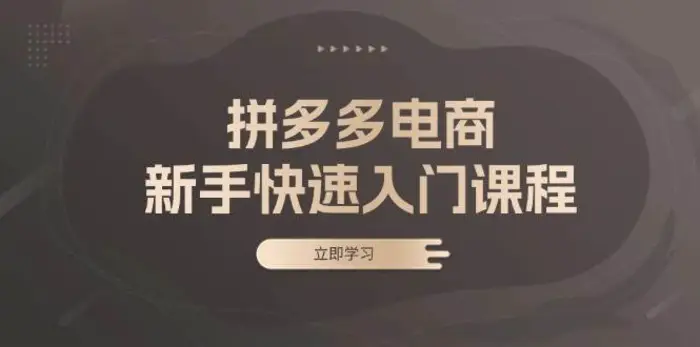拼多多电商新手快速入门课程：涵盖基础、实战与选款，助力小白轻松上手-副业网