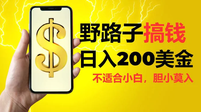 挂机野路子搞钱，日入200美金，路子很野，小白莫入-副业网