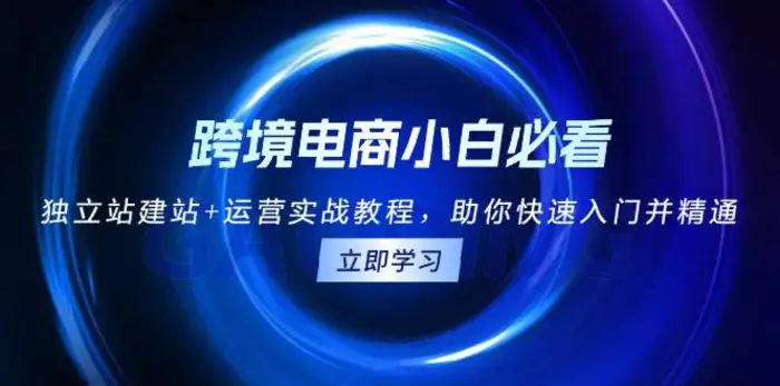 跨境电商小白必看！独立站建站+运营实战教程，助你快速入门并精通-副业网