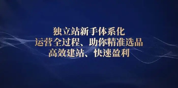 独立站新手体系化 运营全过程，助你精准选品、高效建站、快速盈利-副业网