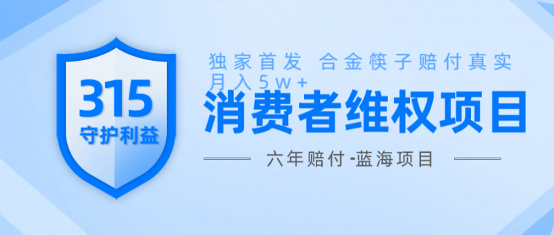 维Q赔付合金筷子玩法小白也能月入5w+风口项目实操-副业网