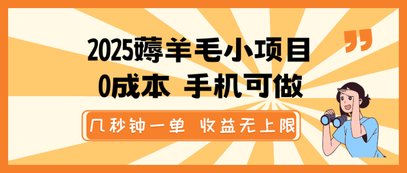 2025薅羊毛小项目，0成本 手机可做，几秒钟一单，收益无上限-副业网
