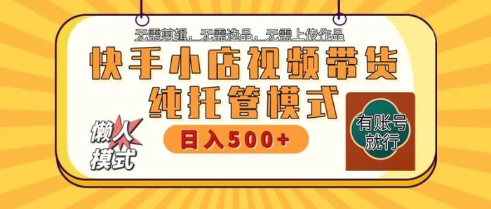 快手小店代运营躺赚项目 二八分成 长期稳定 保底月入3k+-副业网