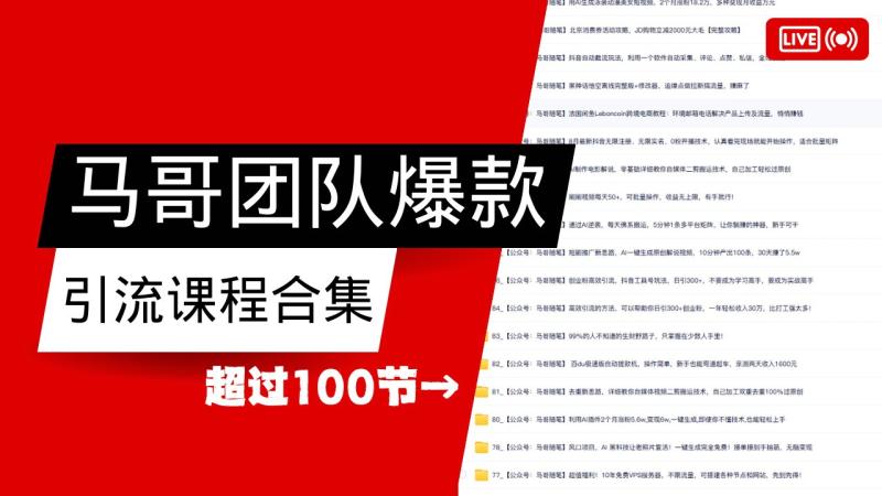 马哥团队【122节】最全项目爆款引流课程合集【持续更新】-副业网