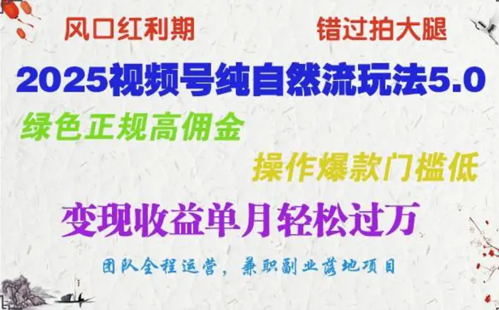 2025视频号纯自然流玩法5.0，绿色正规高佣金，操作爆款门槛低，变现收益单月轻松过万-副业网