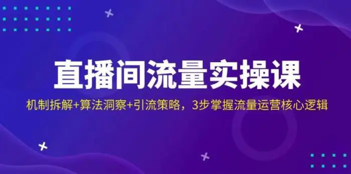 直播间流量实操课：机制拆解+算法洞察+引流策略，3步掌握流量运营核心逻辑-副业网