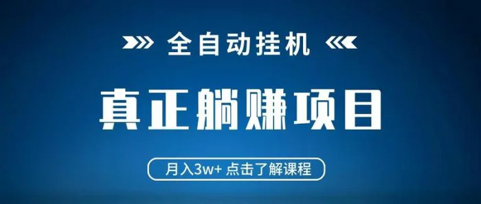 全自动挂机项目 月入3w+ 真正躺平项目 不吃电脑配置 当天见收益-副业网