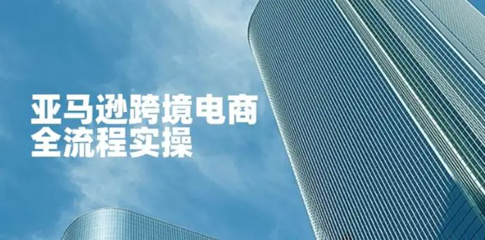 亚马逊跨境电商全流程实操，教你从零开始，掌握店铺运营与广告技巧-副业网