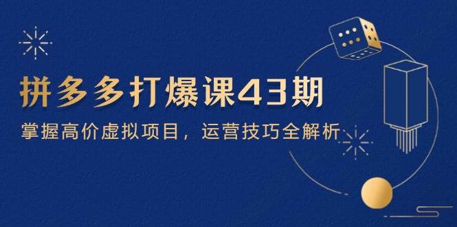 拼多多打爆课第 43 期，掌握高价虚拟项目，运营技巧全解析（15节）-副业网
