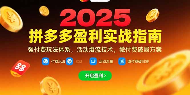 拼多多盈利实战指南，强付费玩法，活动爆流技术，微付费破局方案(更新7月-副业网