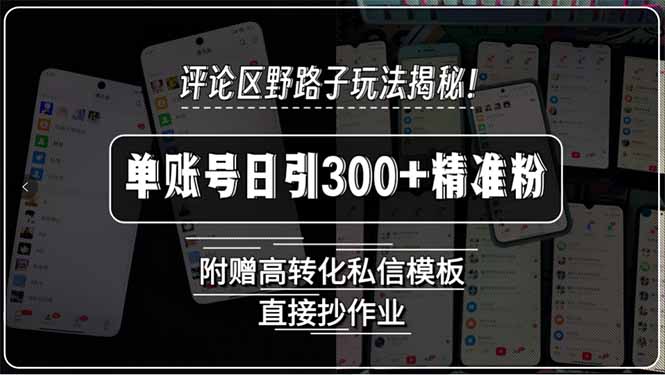评论区野路子玩法揭秘！单账号日引300+精准粉，附赠高转化私信模板，直…-副业库