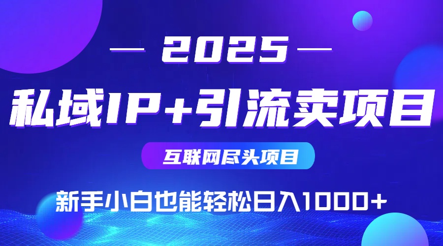2025网创尽头项目，私域IP+引流，新手小白也能在家日入1000+-副业库