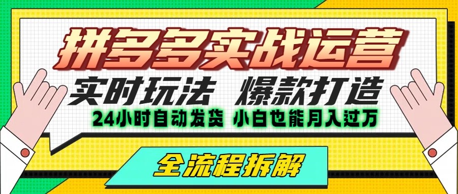拼多多最新实战运营高投产：长久稳定项目，单店利润一天三位数-副业库