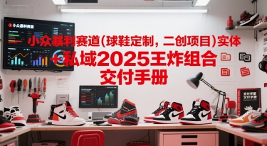 小众暴利赛道(球鞋定制，二创项目)实体+私域2025王炸组合  交付手册-副业库
