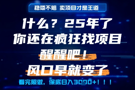 什么？25年你还在疯狂找项目做，醒醒吧，看完这些你全都懂了！【揭秘】-副业库