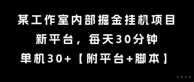 某工作室内部掘金挂G项目，新平台，每天30分钟，单机30+【揭秘】-副业网