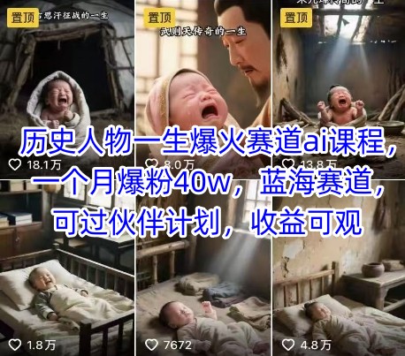 历史人物一生爆火赛道ai课程，一个月爆粉40w，蓝海赛道，可过伙伴计划，收益可观-副业网