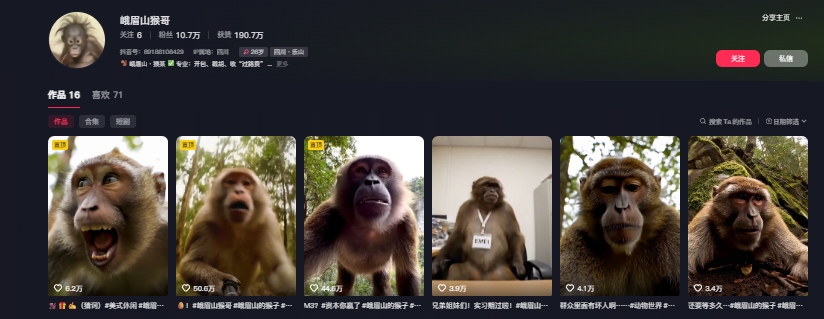 图片[2]-最新爆火的峨眉山猴子短视频制作教程，条条点赞10w+，谁做谁火【教程+提示词】-副业网